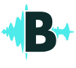 Audio Boom